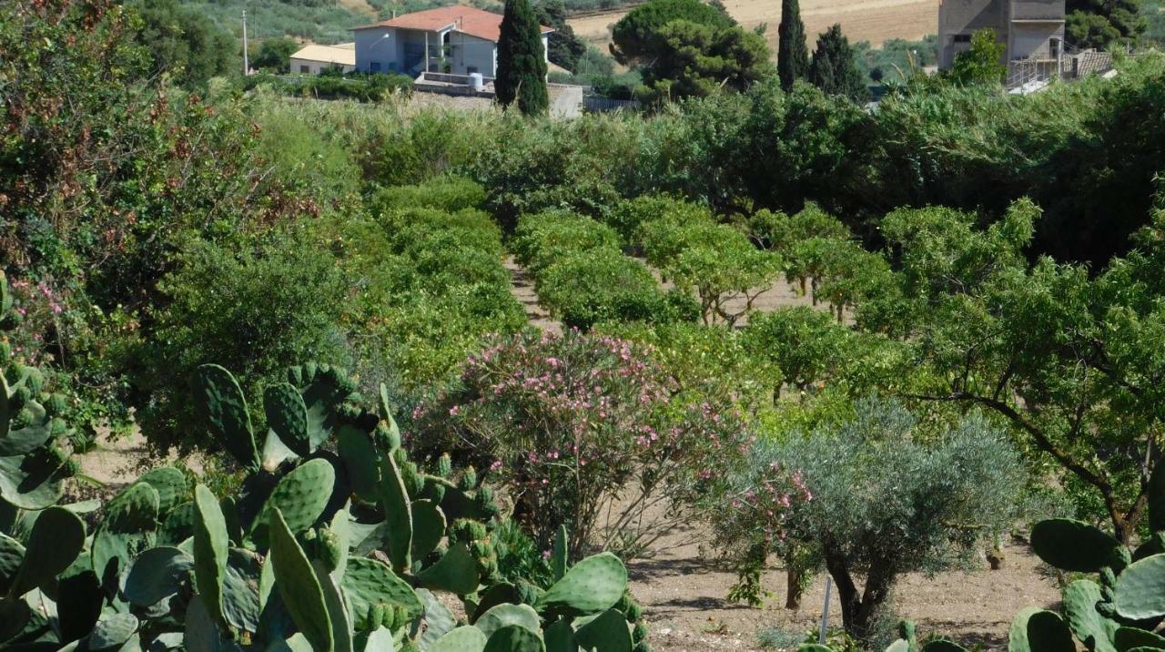 La Pinetina * Valderice